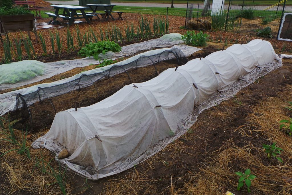 Floating Row Cover