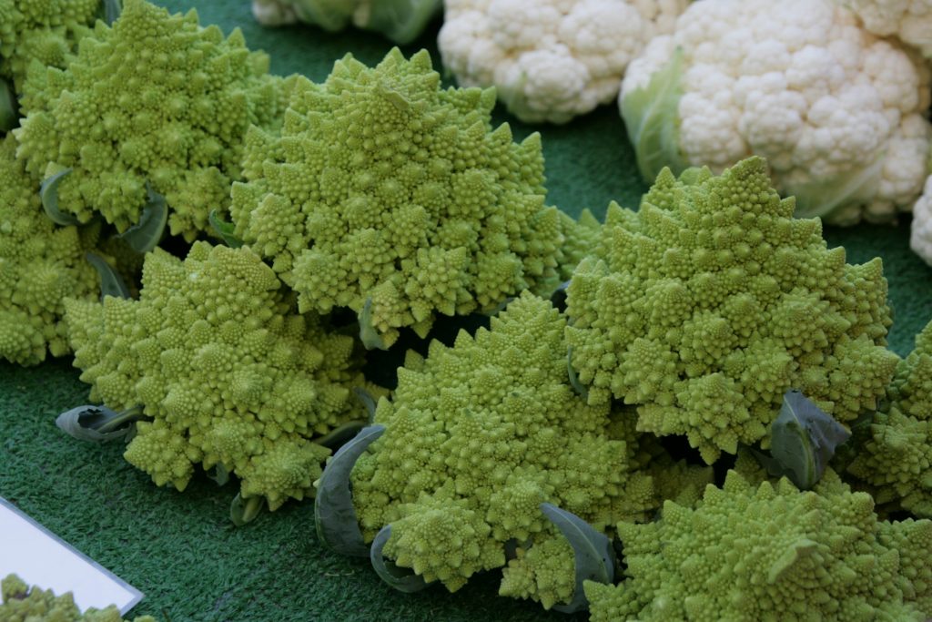Romanesco