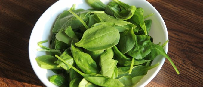 Spinach, Spinacia oleracea
