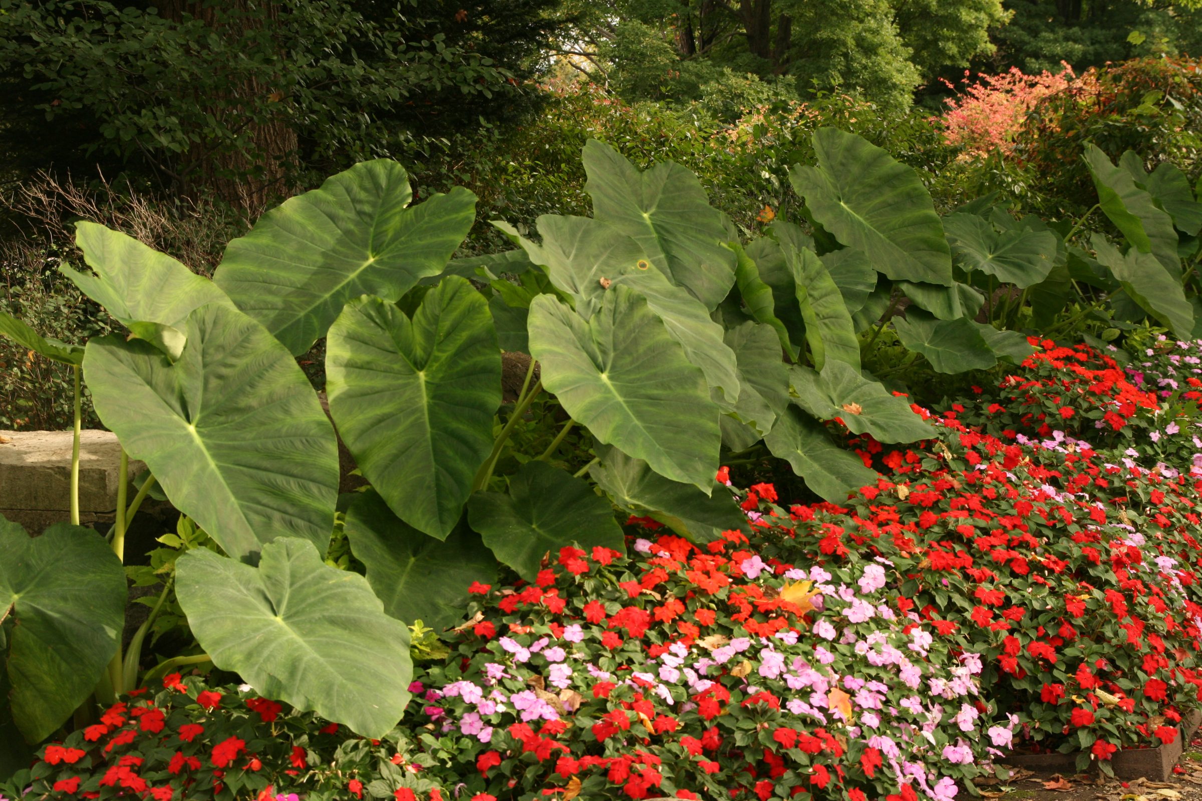 hort.extension.wisc.edu