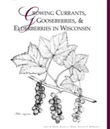Cover of publication