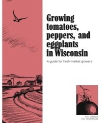 Publication cover