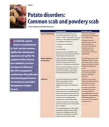 Publication cover