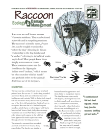 Raccoon Ecology and Damage Management