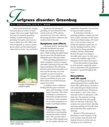 Turfgrass Disorder: Greenbug