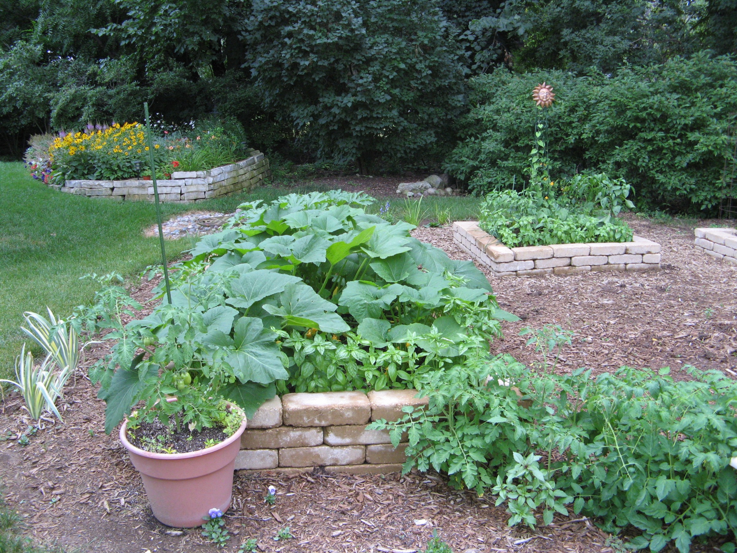 Vegetable garden container ideas for growing crops in pots