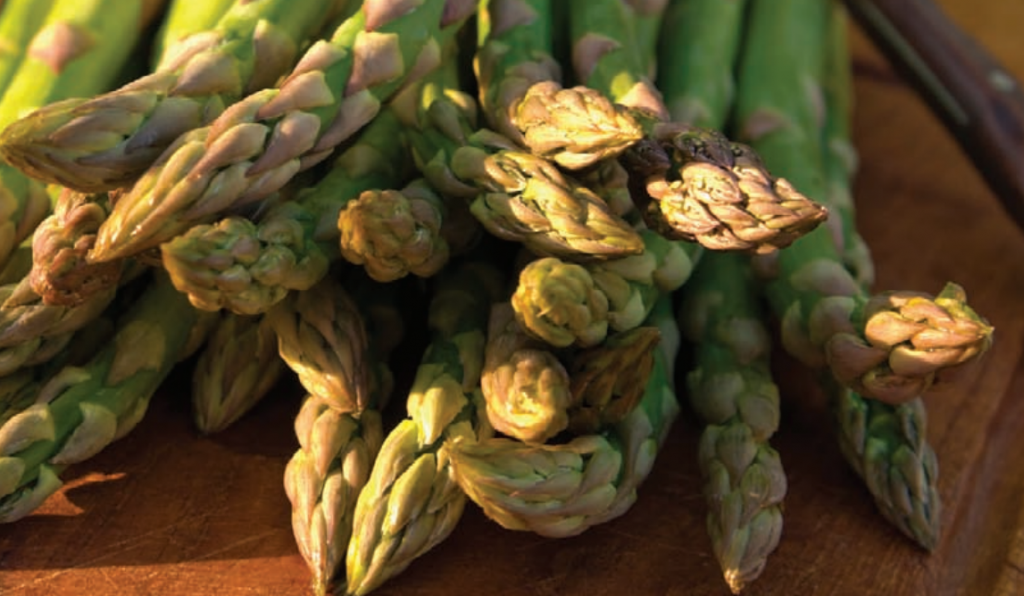 Spring Vegetables