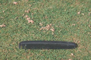 Earthworm Castings in Turf