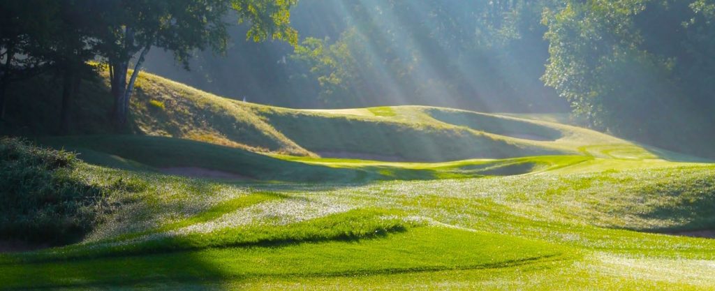 Managing Turfgrass Pests in Wisconsin
