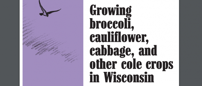 Growing Broccoli, Cauliflower, Cabbage, and Other Cole Crops in Wisconsin