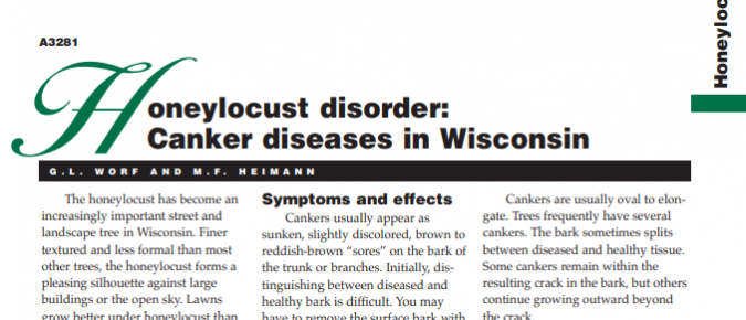 Honeylocust Disorder: Canker Diseases in Wisconsin