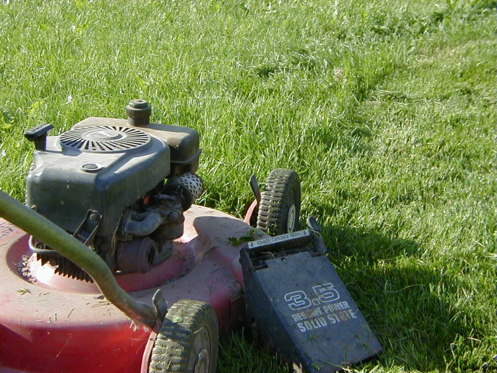 Lawn Maintenance