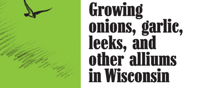 Growing Onions, Garlic, Leeks, and Other Alliums in Wisconsin