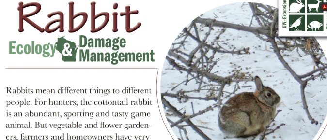 Rabbit Ecology and Damage Management