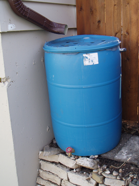 Rain Barrels Wisconsin Horticulture