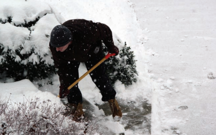 Avoiding Winter Salt Injury on your Landscape Plants 