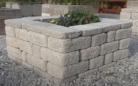 Specialized Gardening Techniques: Wide-Row Planting, Square-Foot Gardening and Raised Beds