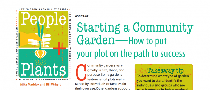 Starting a Community Garden—How to Put Your Plot on the Path to Success