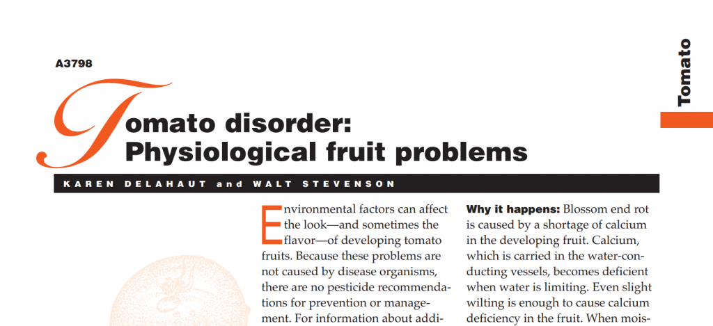 Tomato Disorder: Physiological Fruit Problems
