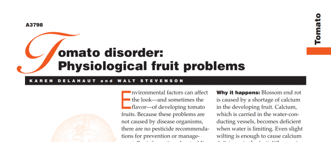Tomato Disorder: Physiological Fruit Problems
