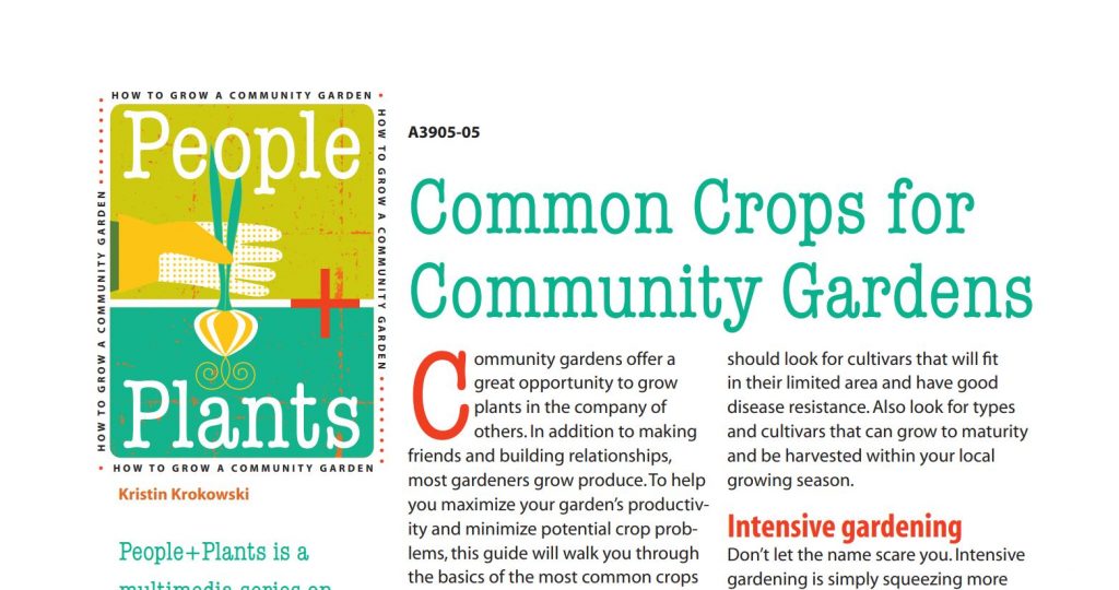 Common Crops for Community Gardens – People + Plants