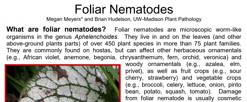 Foliar Nematodes