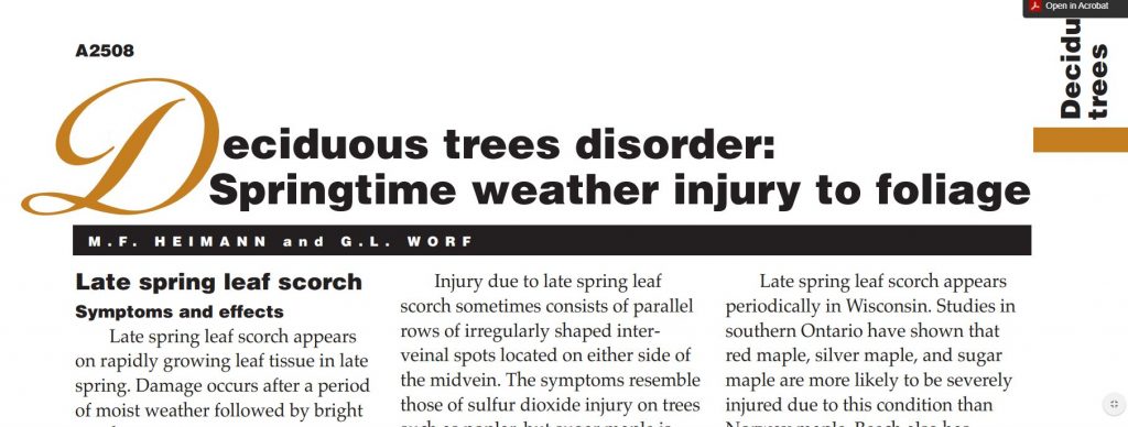 Deciduous Trees Disorder: Springtime Weather Injury to Foliage