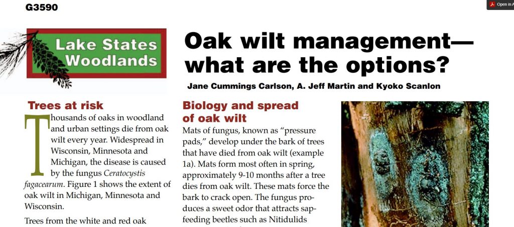 Oak Wilt Management—What Are the Options?