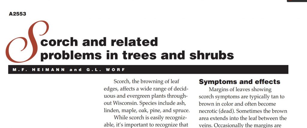 Scorch and Related Problems in Trees and Shrubs