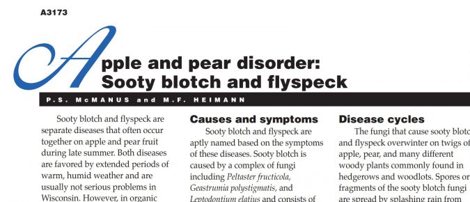 Apple Disorder: Sooty Blotch and Flyspeck
