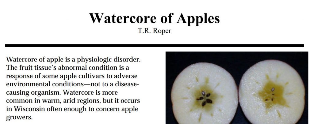 Watercore of Apple