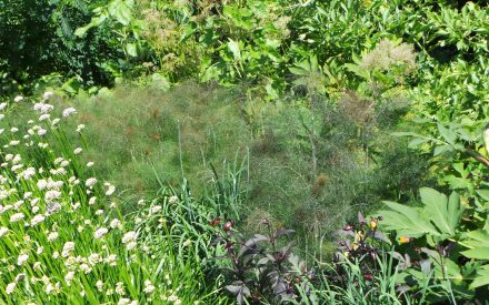 Wild (2014 film) intelligence overview