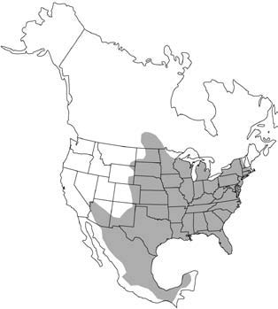 Range of the Eastern Cottontail rabbit in North America.