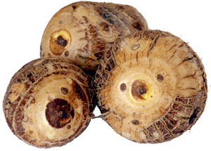 Large Colocasia corms.