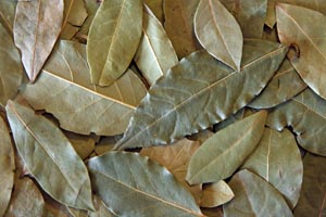 Dried bay leaves.