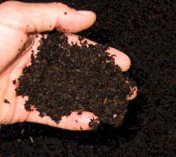 Cow Manure Soil Mix 
