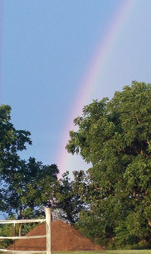 A pot of black gold at the end of the rainbow.