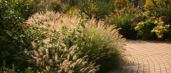 Landscape Style Options