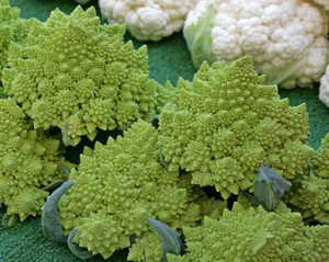 Romanesco heads for sale at a Farmers Market.