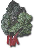 Chard is best fresh, either raw or cooked.