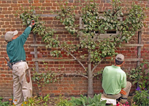 ESPALIER 5 PLACES - LONGUEUR 403 cm (*)