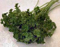 Parsley is an important ingredient in many dishes.