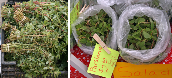 Purslane for sale as a vegetable at a Farmers Market.