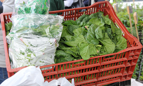 Loose leaf spinach for sale at a farmers market.