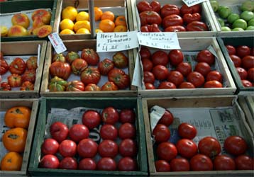 There are numerous heirloom tomatoes.