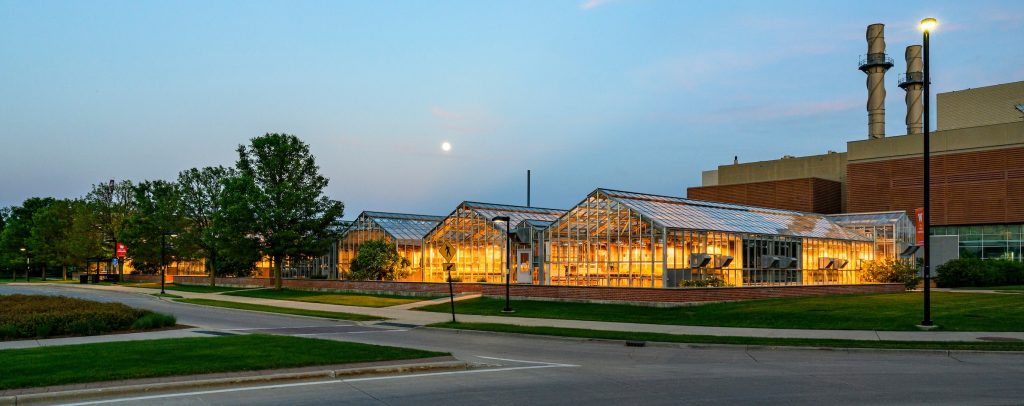 Insect Pest Management for Greenhouses