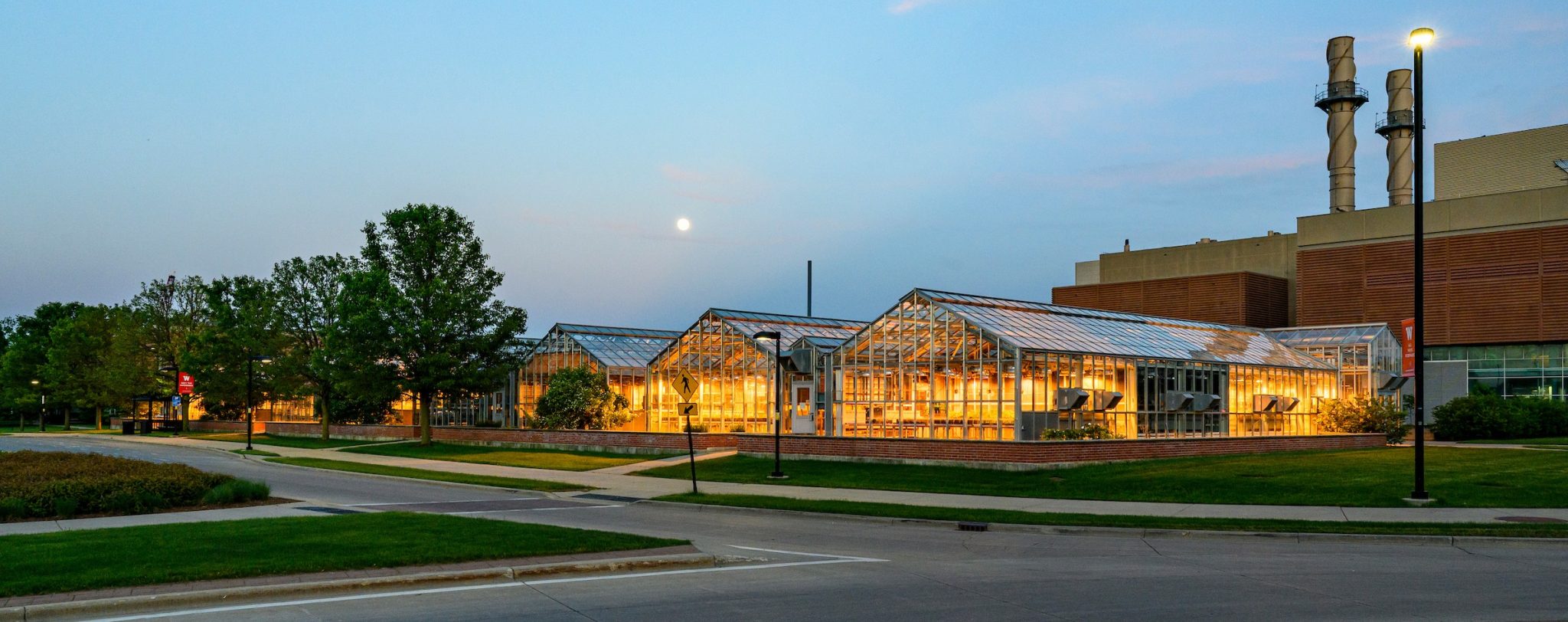 Insect Pest Management for Greenhouses Wisconsin Horticulture