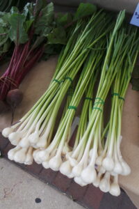 Young garlic bulbs being displayed at a farmers market