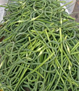 Use the scapes as a vegetable before they get woody.