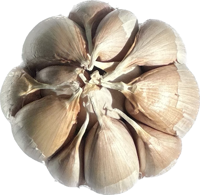 How to Roast Garlic (and freeze it!) - Pass the Plants